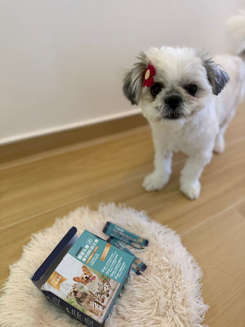 女人知己試用大隊,口碑行銷,部落客行銷,Moegis萌吉 腸道生機專利RBE益生菌,寵物益生菌,專利RBE益生元,專利蔬果酵素,小分子胜肽,藍藻粉,維持免疫力,幫助維持消化道機能,維持正常食慾,改變細菌叢生態,腸胃保健,犬貓適用